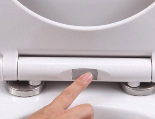 The Best Hinge System for Urea Toilet Seats