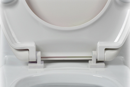 Economical hinge for toilet seat | Beewill Sanitary Economical hinge for toilet seat