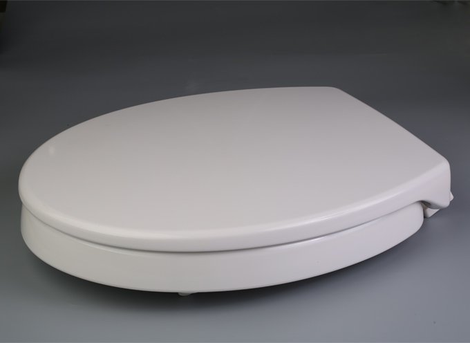 raised toilet seat for elderly