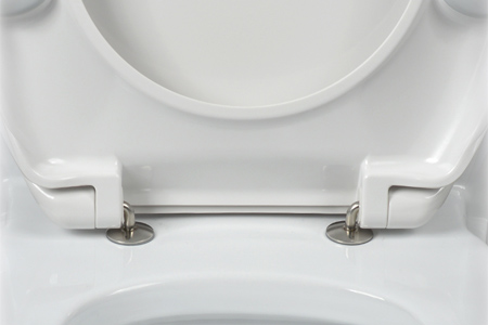 Standard hinge with S.S. fixings | Beewill Sanitary standard hinge with S.S. fixings