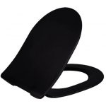 black matt toilet seat