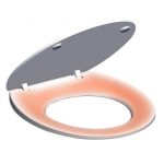 heated toilet seat