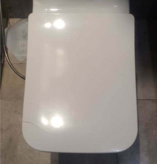 break cheap toilet seat break cheap toilet seat